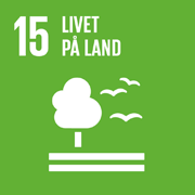15 - Livet på land